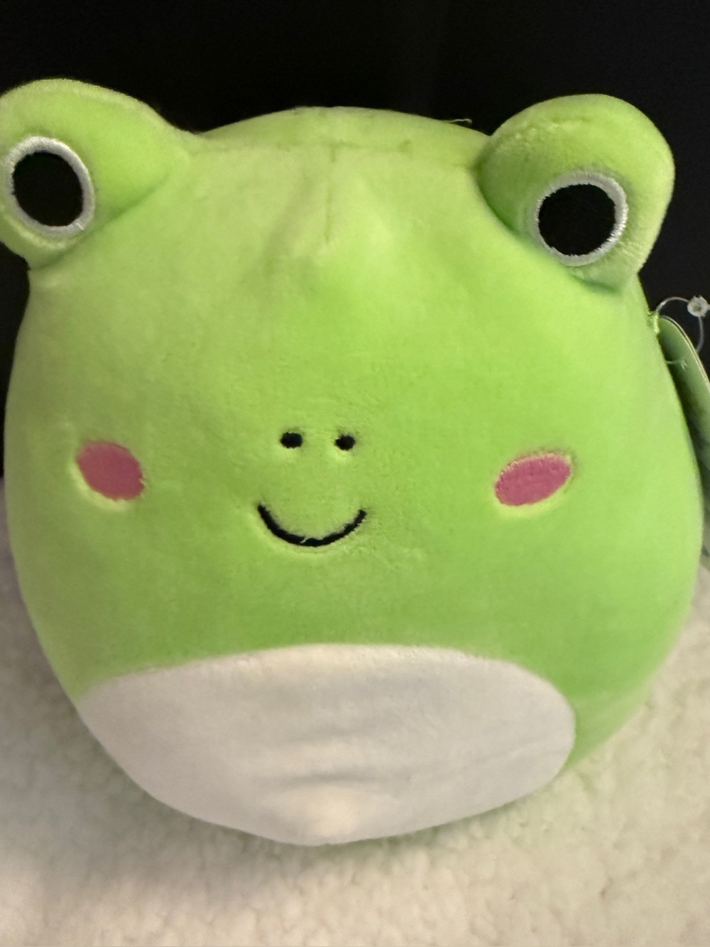 Green Frog Plush Pet Toy - Soft Cute Frog Plushie
